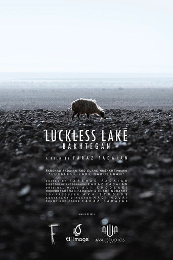 Luckless Lake poster
