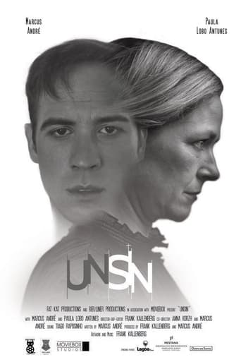 Poster of Unsin