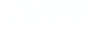 Turbo FAST logo