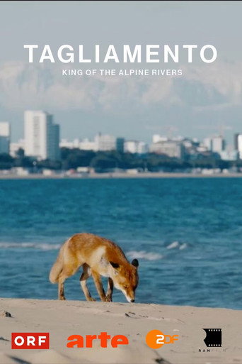 Tagliamento - King of The Alpine Rivers (2024)
