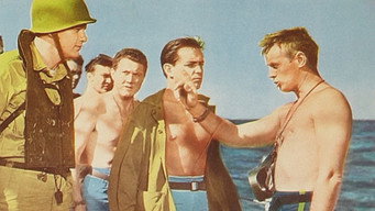 #5 The Frogmen