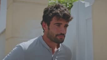 Episode 238 — Episode 238