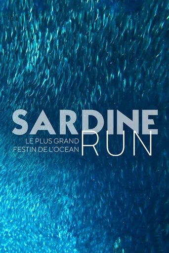 Sardine Run, le plus grand festin de l'océan (2022)