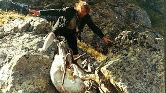 Knut Formos siste jakt (1973)