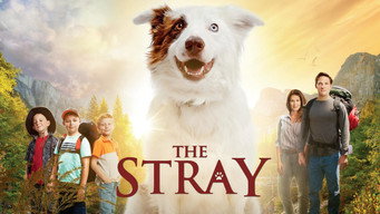 #4 The Stray