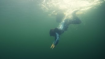 Cena de Fogo e água