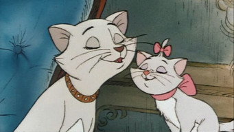 #24 Коти-аристократи