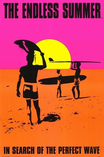 poster The Endless Summer