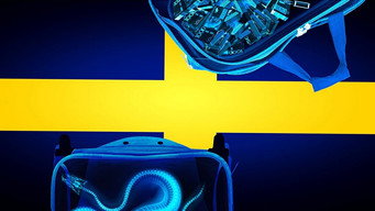 #4 Border Control: Sweden