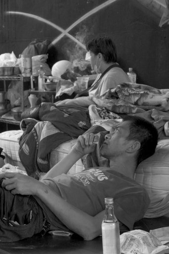 The Lovers Under the Bridge poster