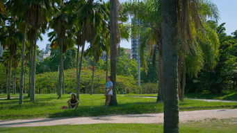 Cena de Filme de Areia