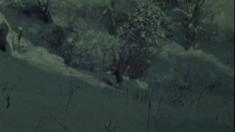 Собака Зірка Людина: частина I (1962)