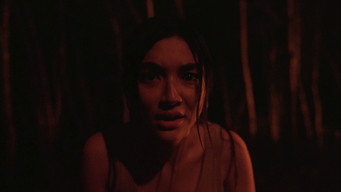 The Last Footage (2026)
