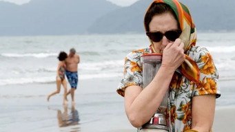Reflexões de um Liquidificador (2010)