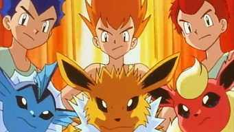 The Battling Eevee Brothers