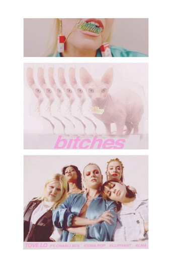 Bitches