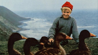 Wonderful Adventures of Nils (1962)