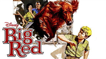 #5 Big Red