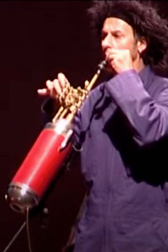 Lapsus Sonorus poster