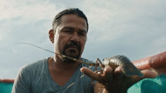 Still 4 from Pescador