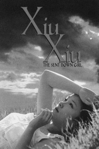 Poster 7