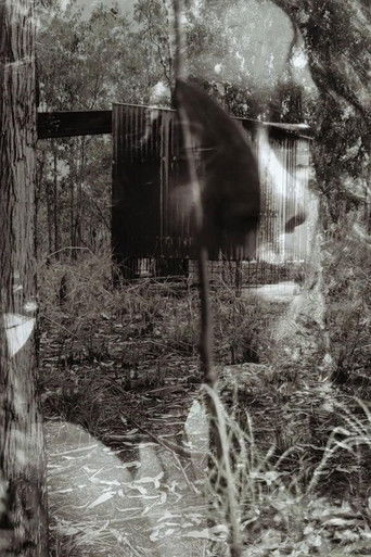 Day in the Life poster