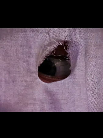 Last Number Dialled poster