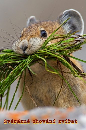 Natural Born Rebels poster