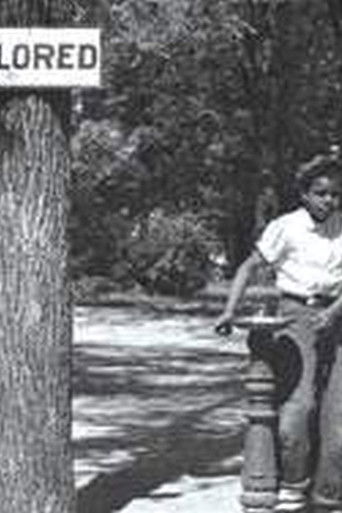 Prejudice: More Than Black & White (2008)