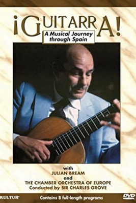 Guitarra poster