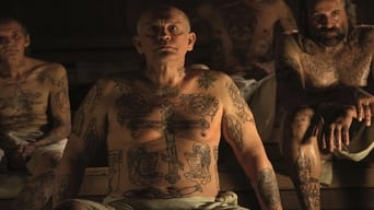 Сибірське виховання (2013)