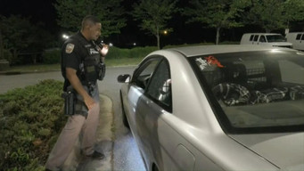 Prostitution Bust