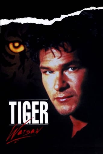 Poster of Tiger Warsaw
