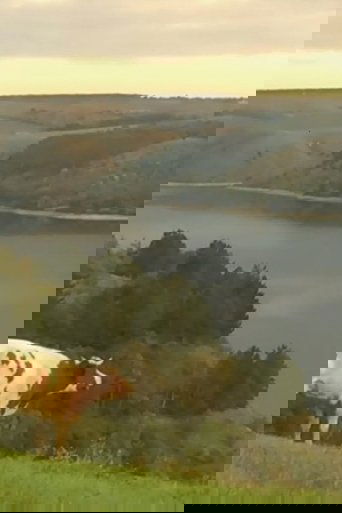 I Won't Go Anywhere poster