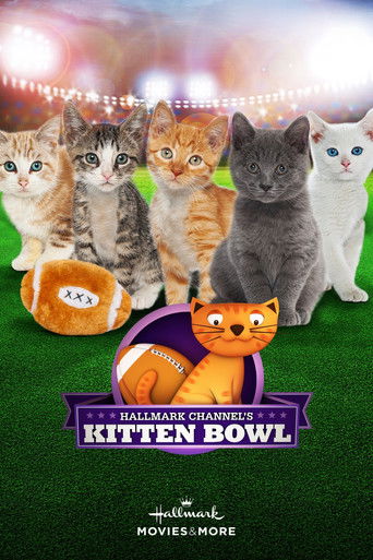 Kitten Bowl poster