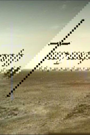 The Diary of the Cross Stealer (2010)