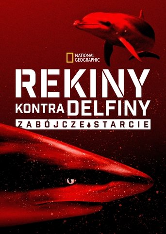 Rekiny kontra delfiny: zabójcze starcie