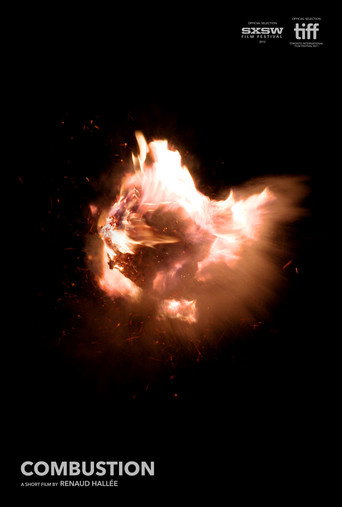 Combustion