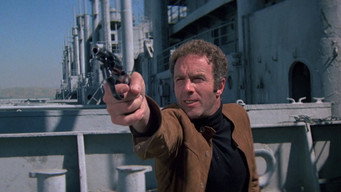 #7 The Killer Elite
