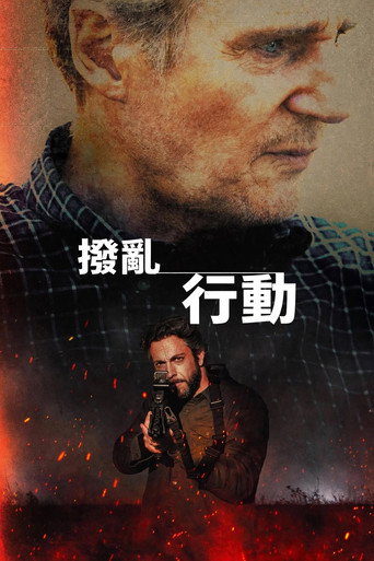 撥亂行動