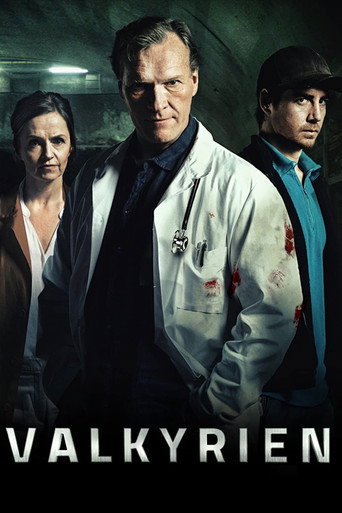 Poster 3