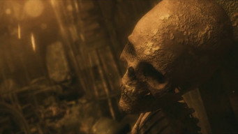 Rosa (2011)