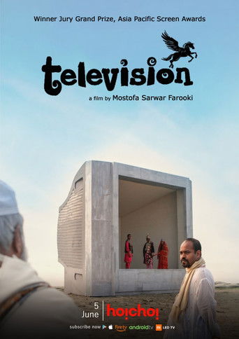 Television (2013)