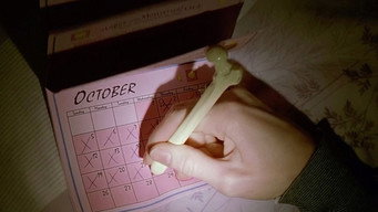 #48 Перевертень