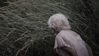 Точка зникнення (2015)