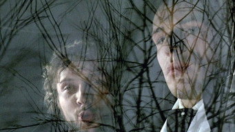 The Possessed (1988)