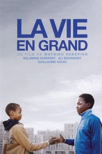 Poster of La Vie en grand