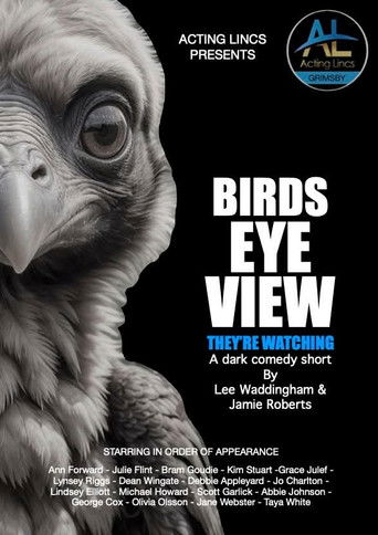 Birds Eye View (2026)