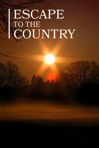 Poster 6