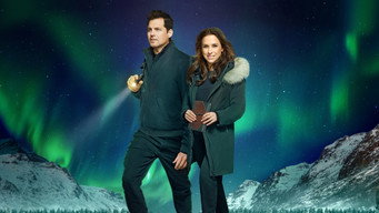 The Christmas Quest (2024)